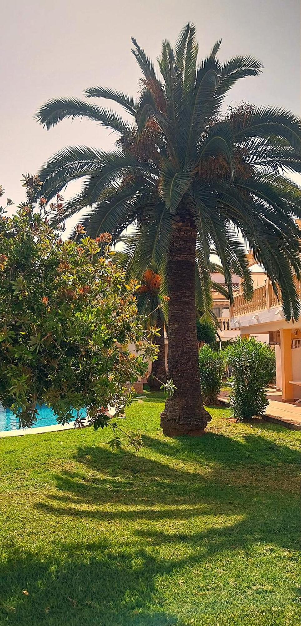 Ferienwohnung La Giralda 2 Denia Les Marines Exterior foto